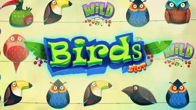 birds